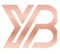 DB真人官方网站Logo - 橙色科技风格标志